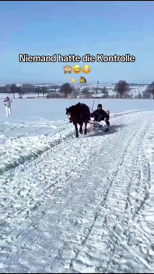 @Shanea & ihre Ponys ♥️🐴