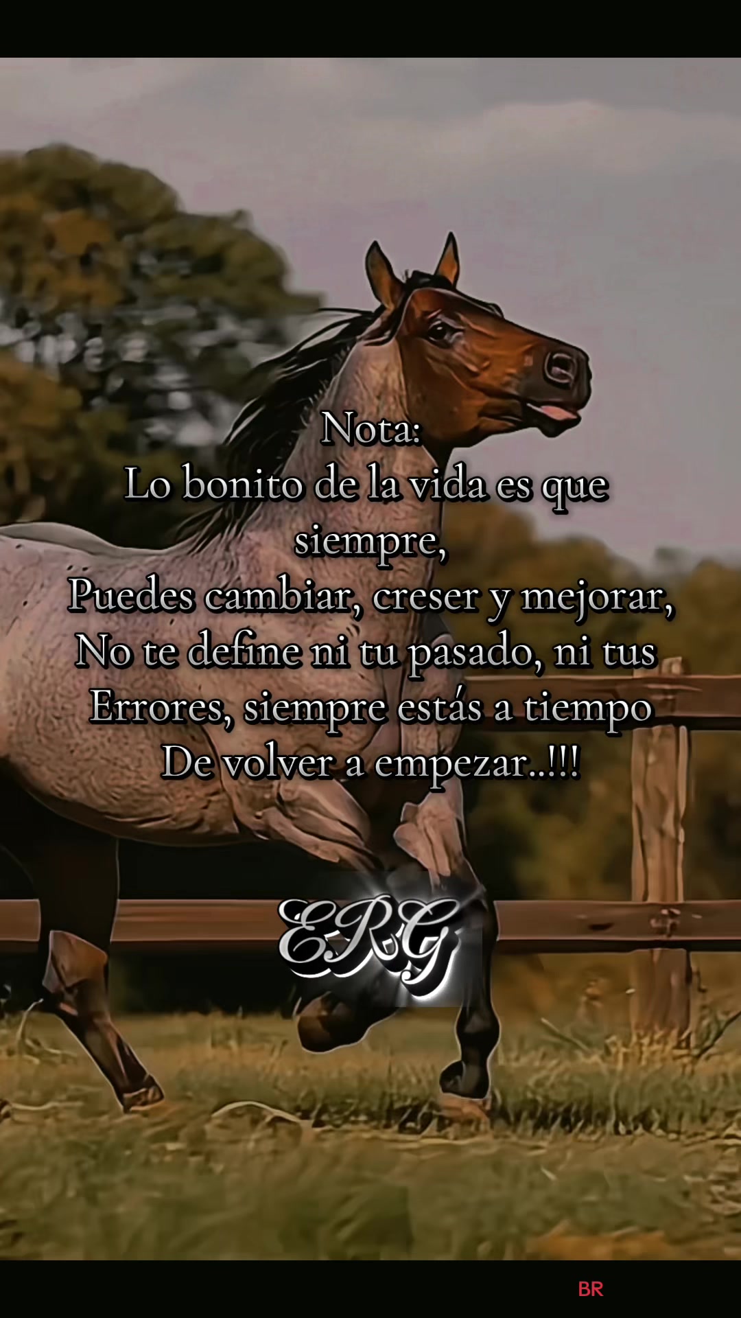 @@"Garcia502_oficial’’