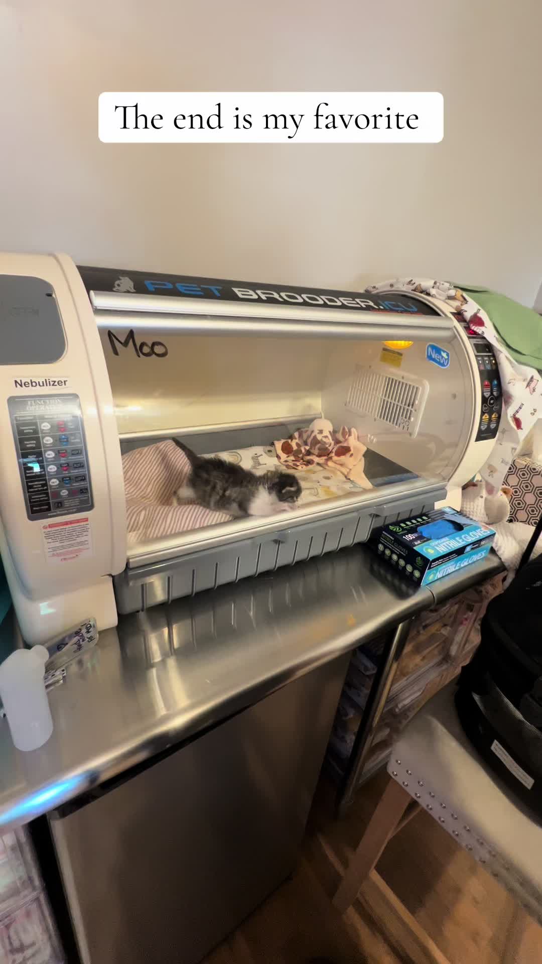 @Kitten.mama