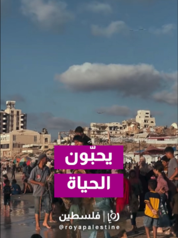 @Royapalestine رؤيا فلسطين