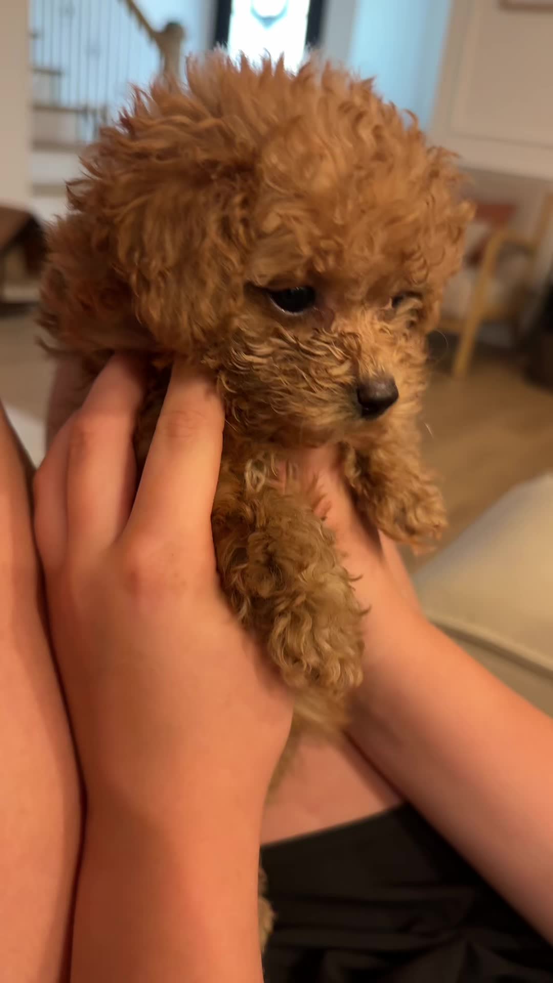 @Hazel Raine 🐾
