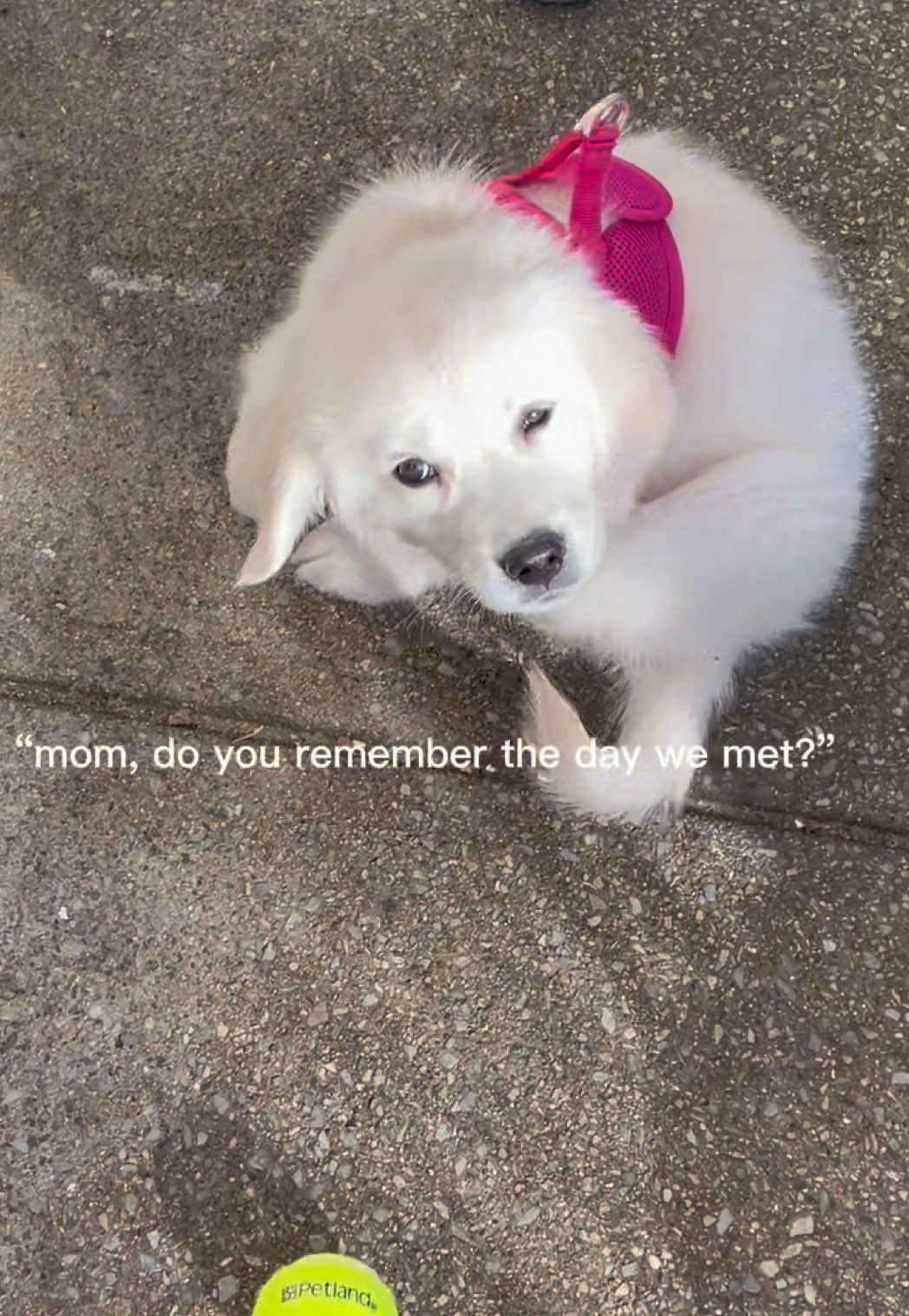 @Luna & Mom