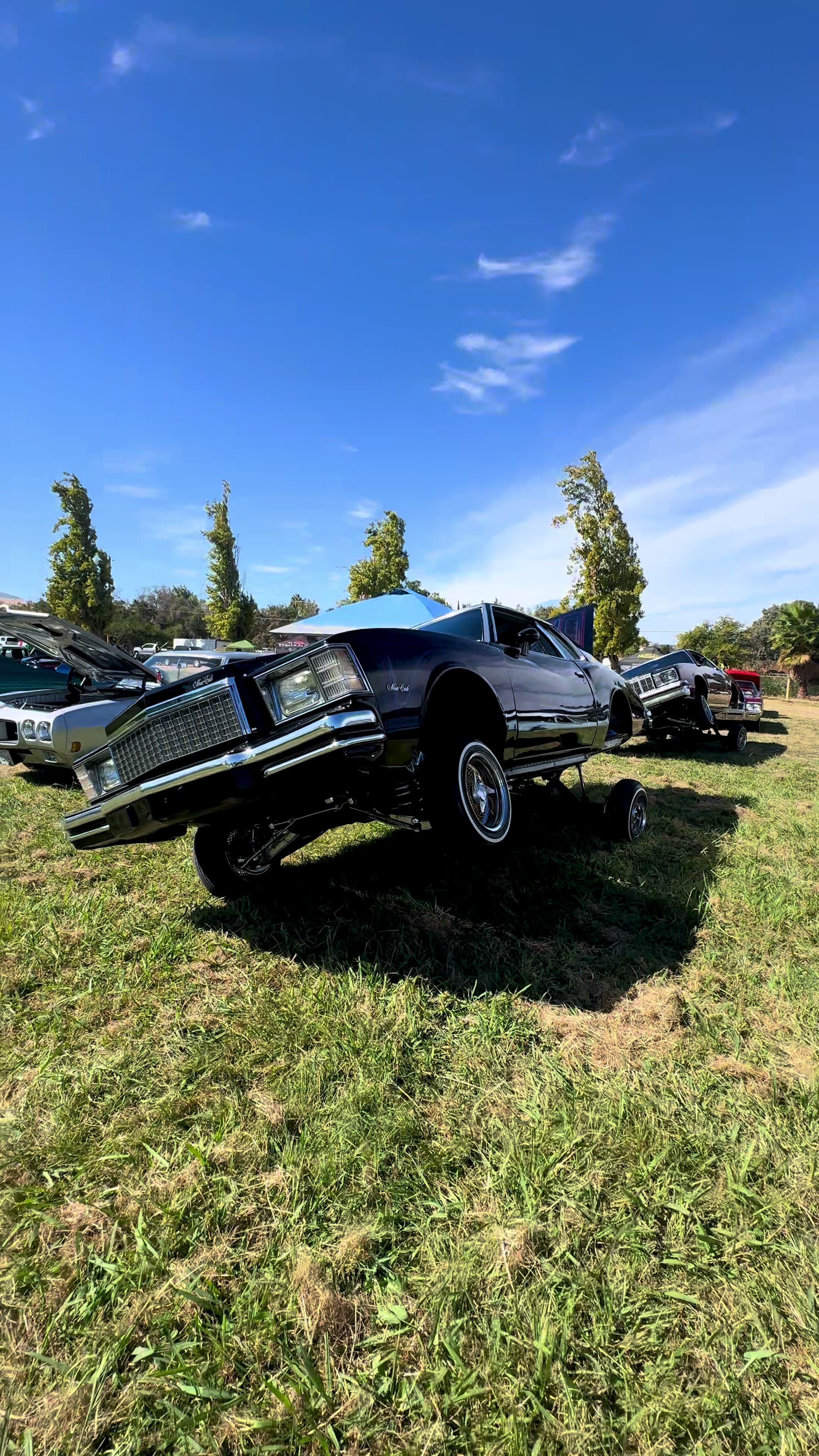 @IG @lowridingcultura