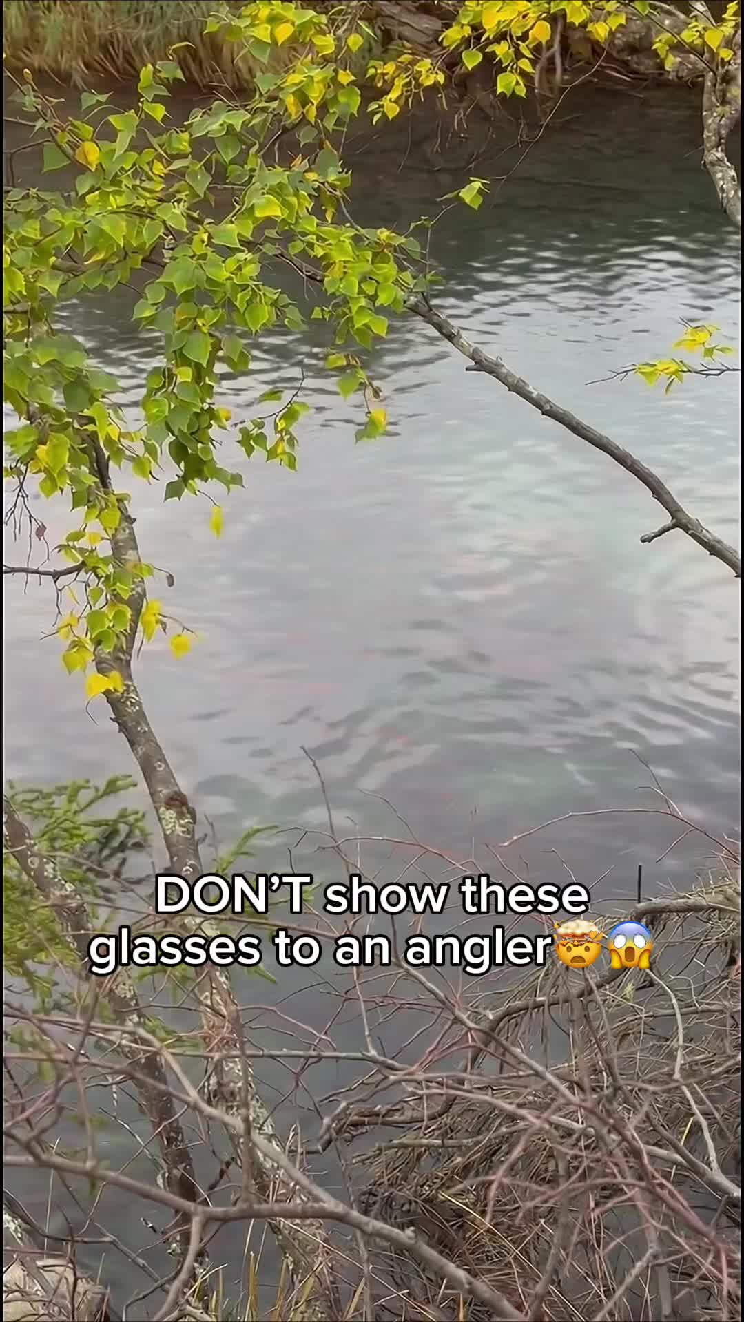 @AquaVision | Fishing | Eyewear
