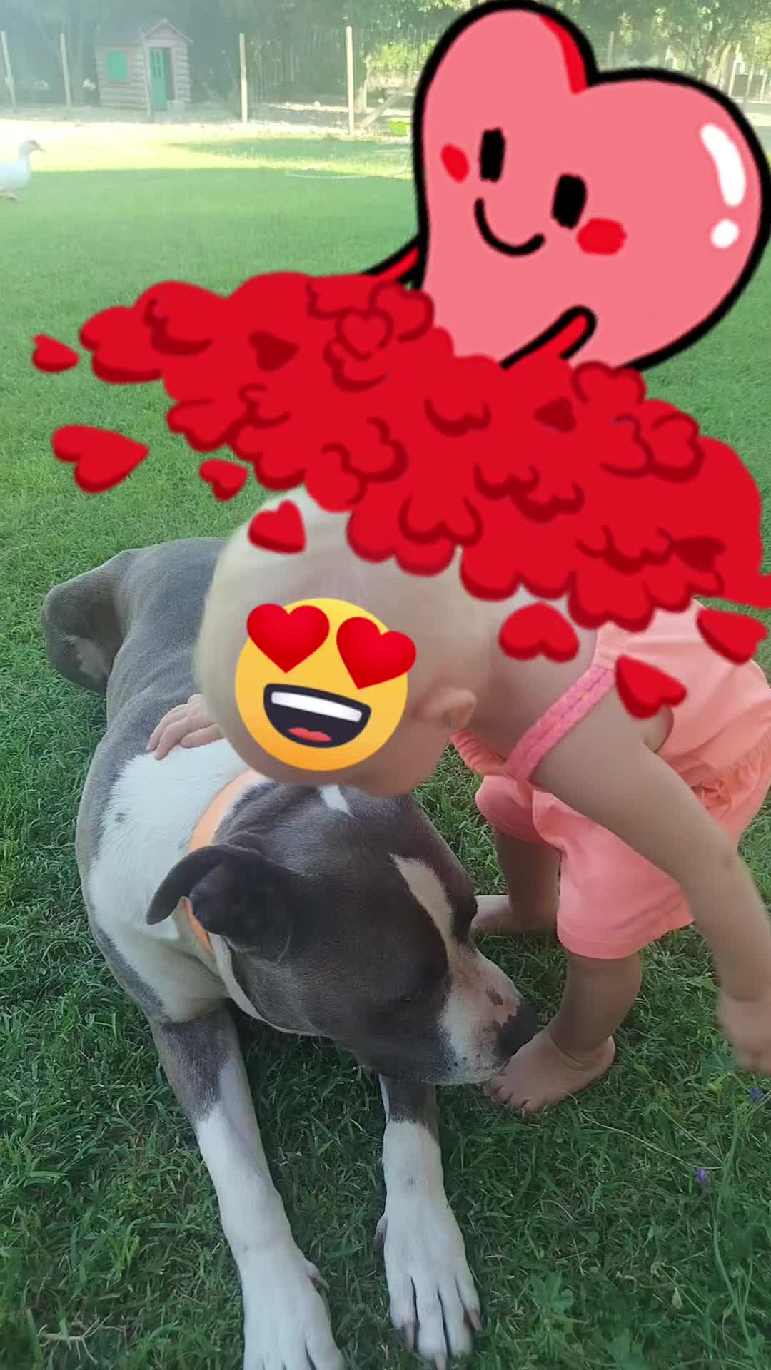 @jessjess