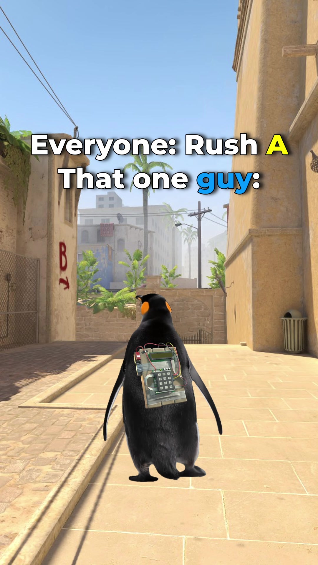 @BitSkins.com