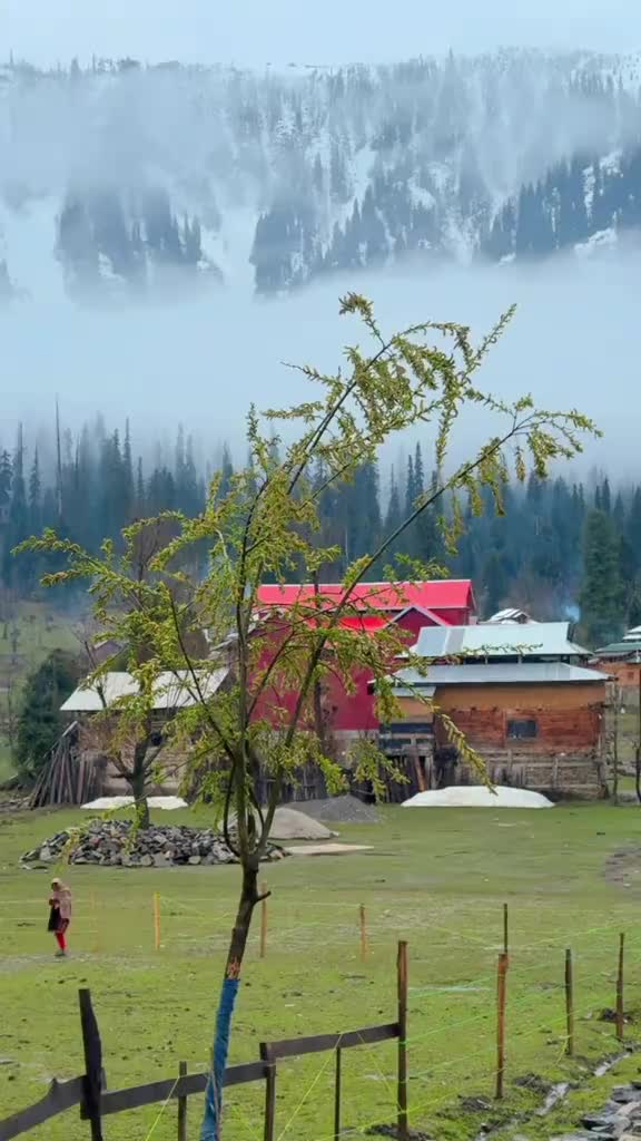 @Neelum Vista Tourism