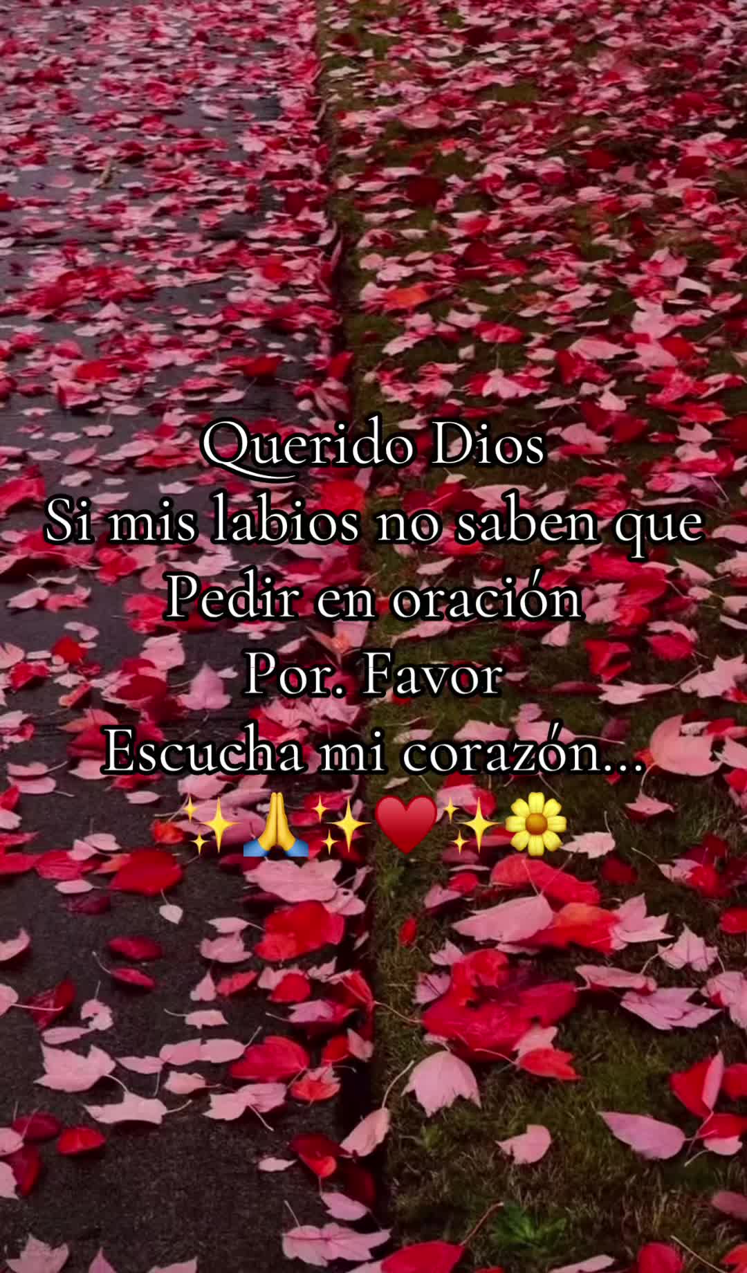 @melgar.rivera1
