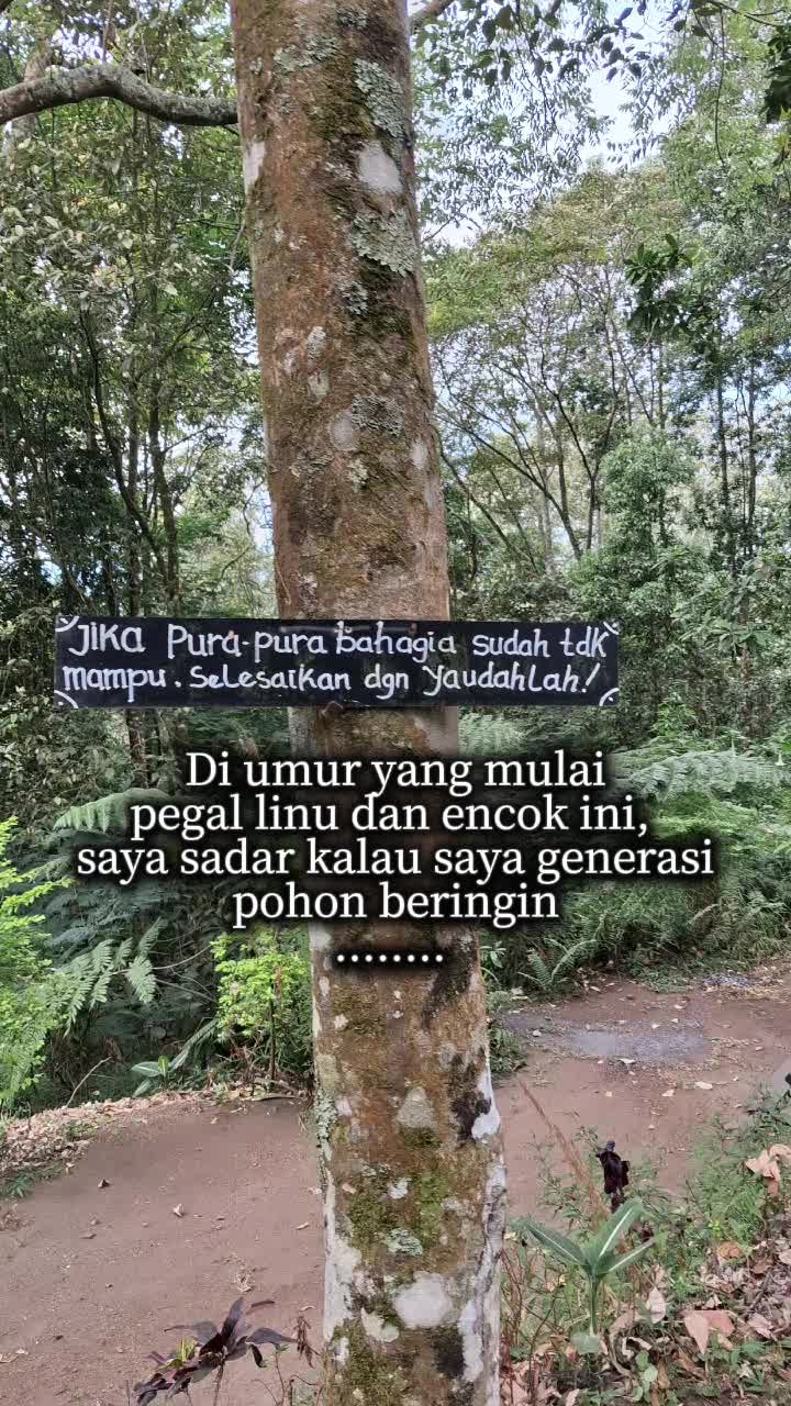 @V@nDY J3