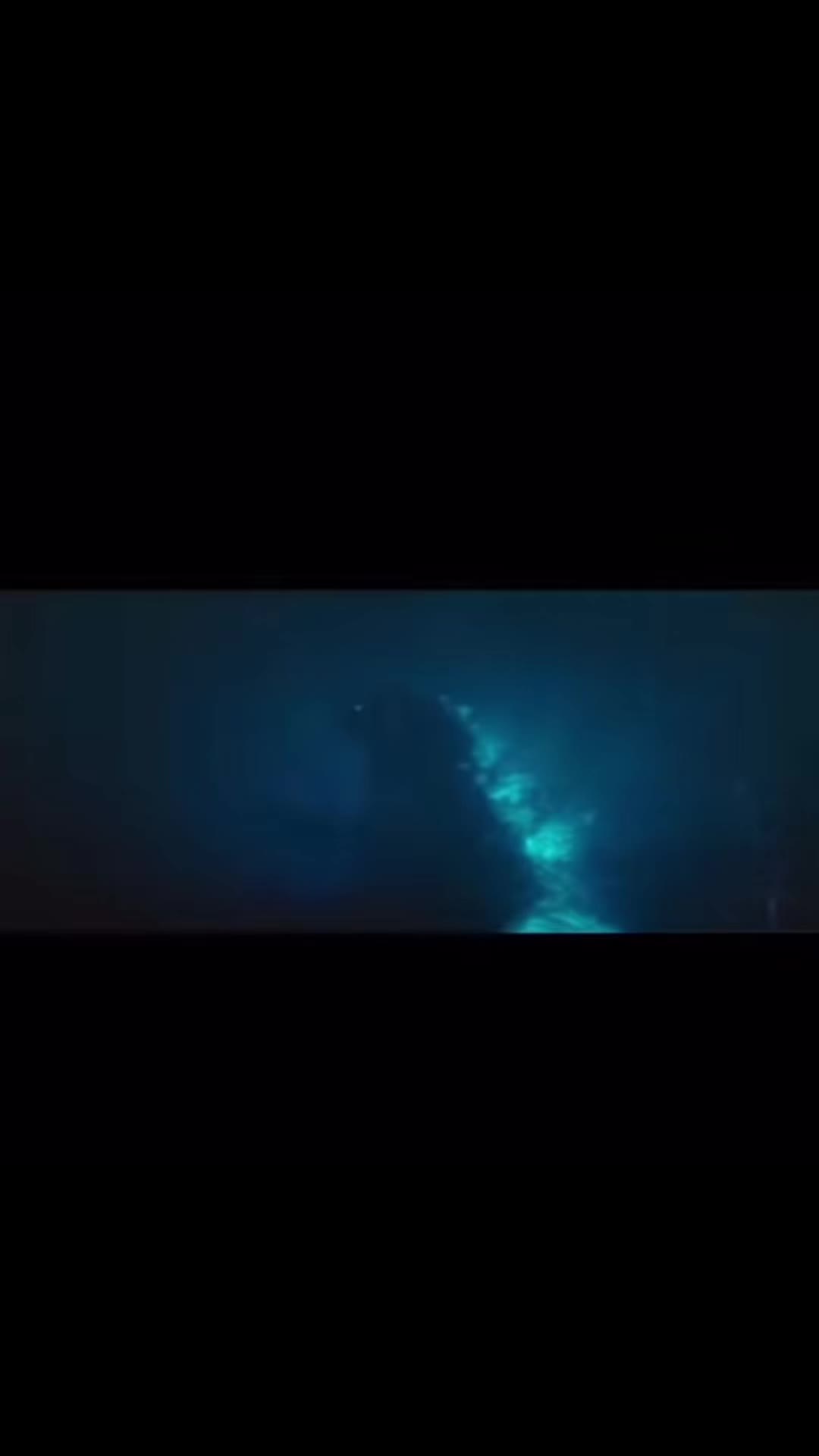 @Will-Zilla official