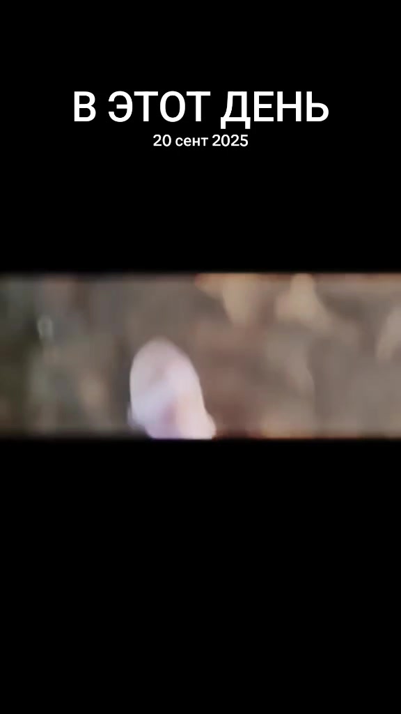 @🇺🇦Kitty🇺🇦