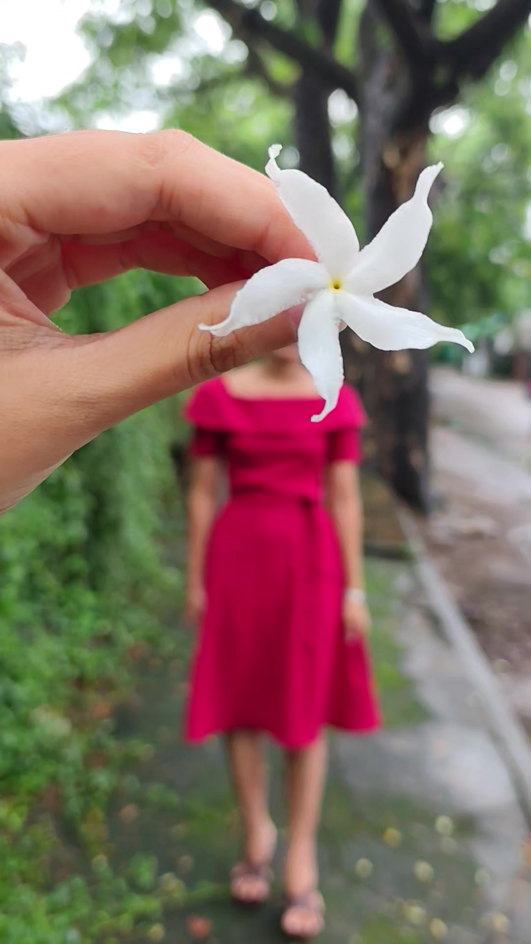 @LđŤ