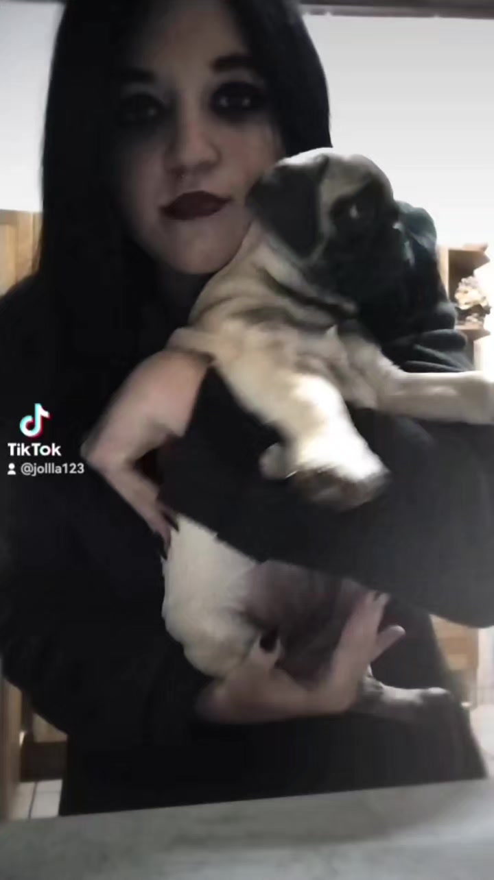 @jolla123