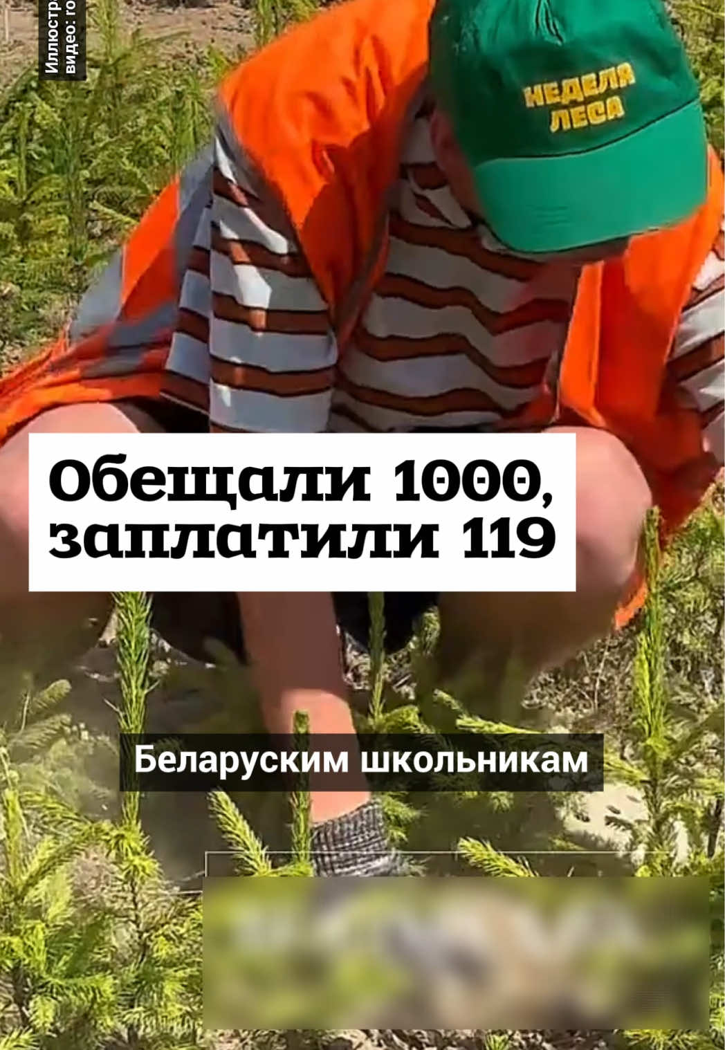 @Салідарнасць (gazetaby)