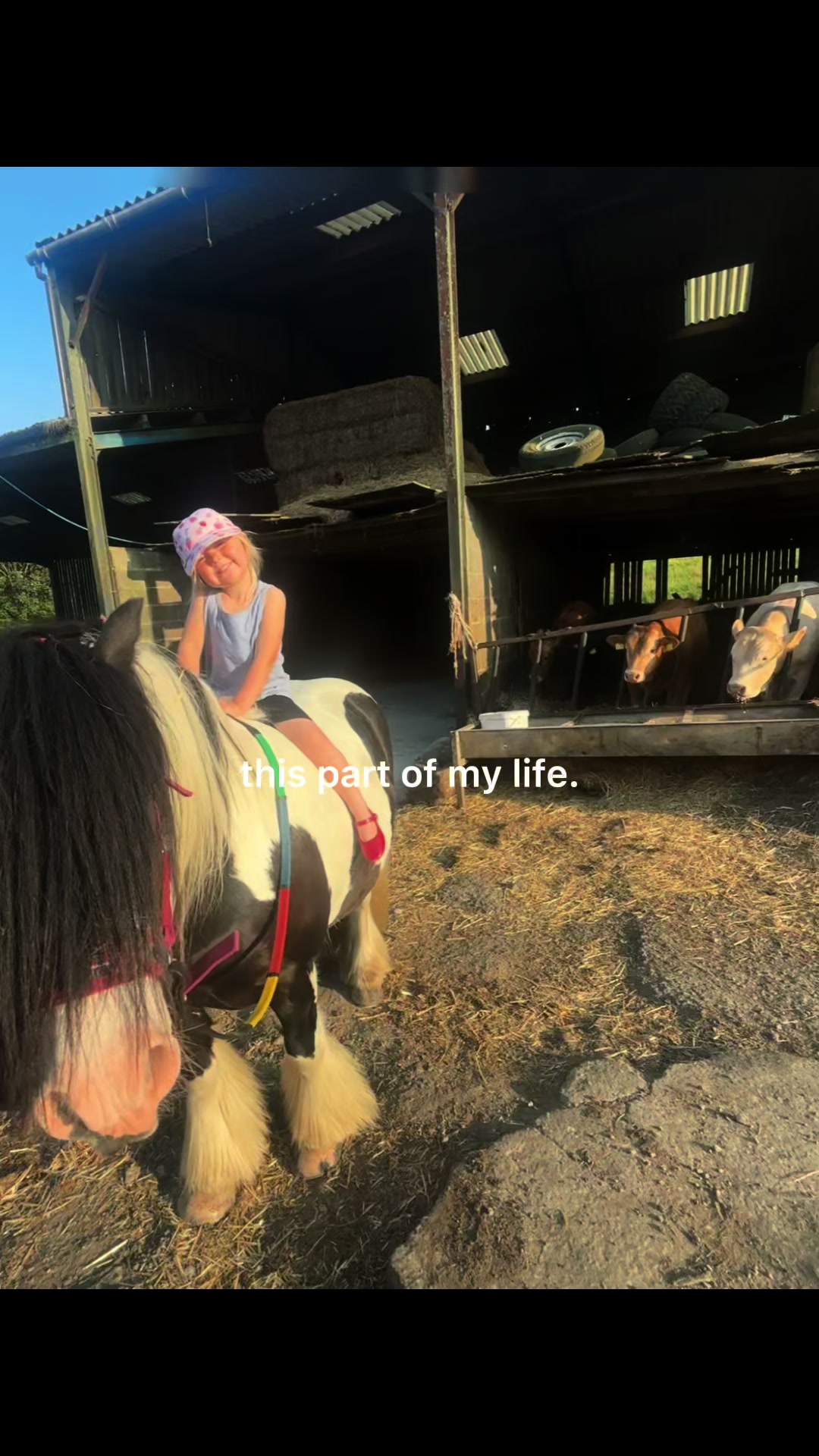 @diamondponyparties