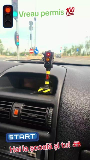 @Instructor Auto Sorin