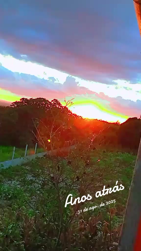@samilesantos591