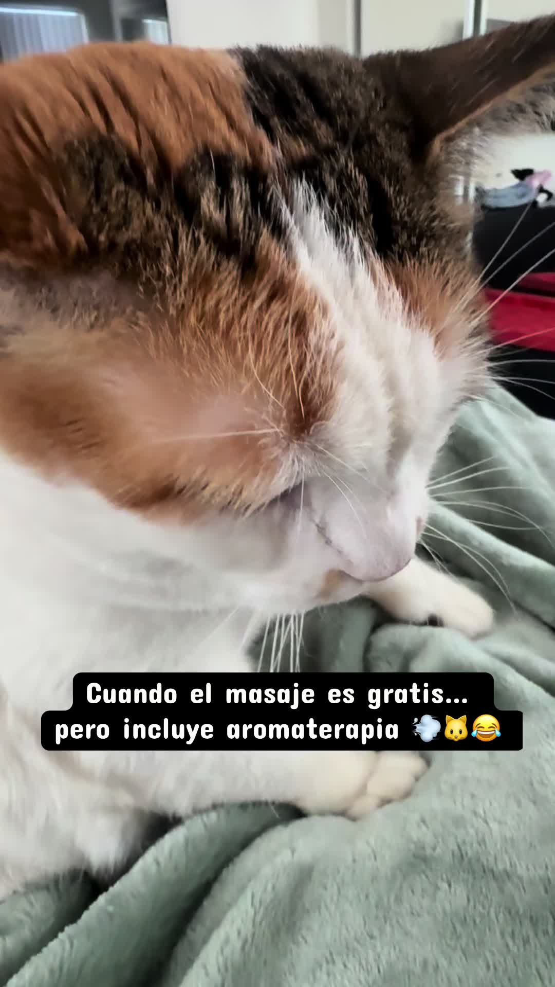 @Paola N-EM🧡