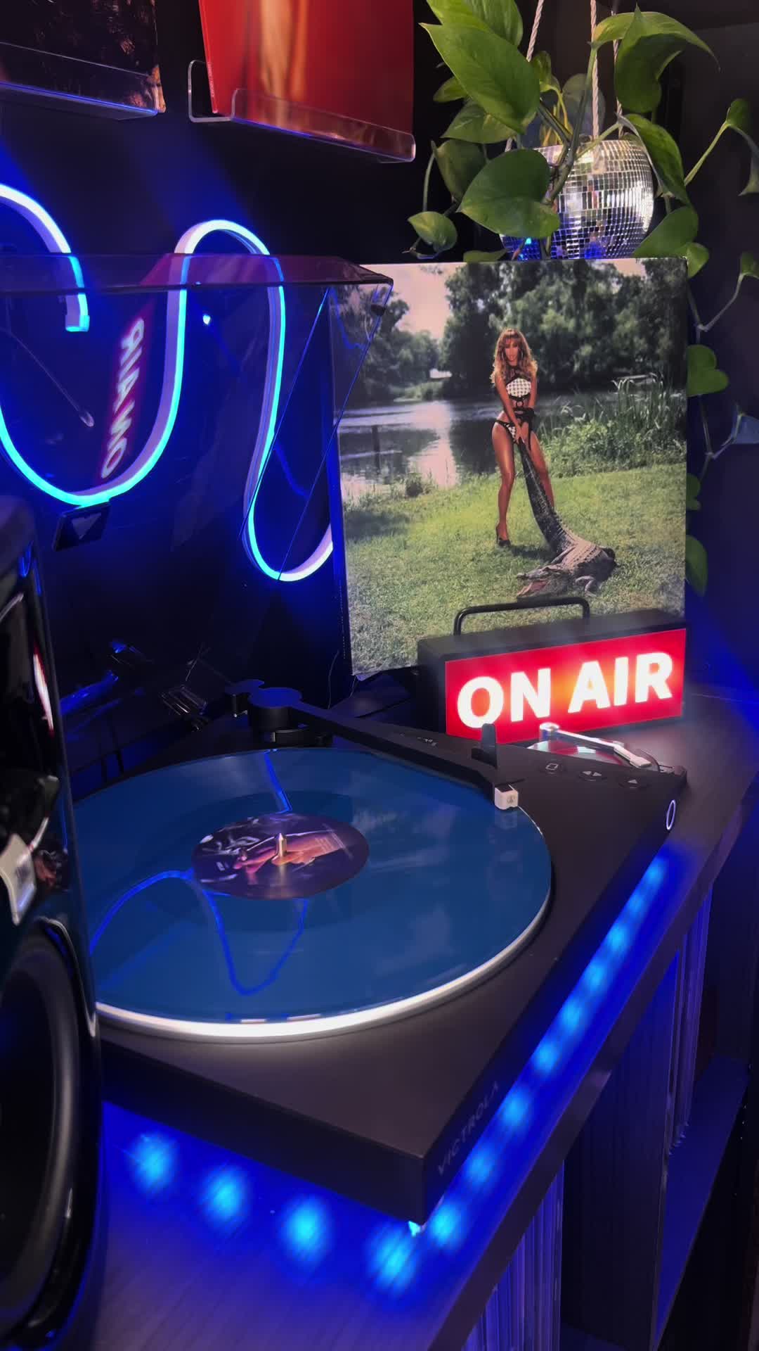@Rjs vinyls
