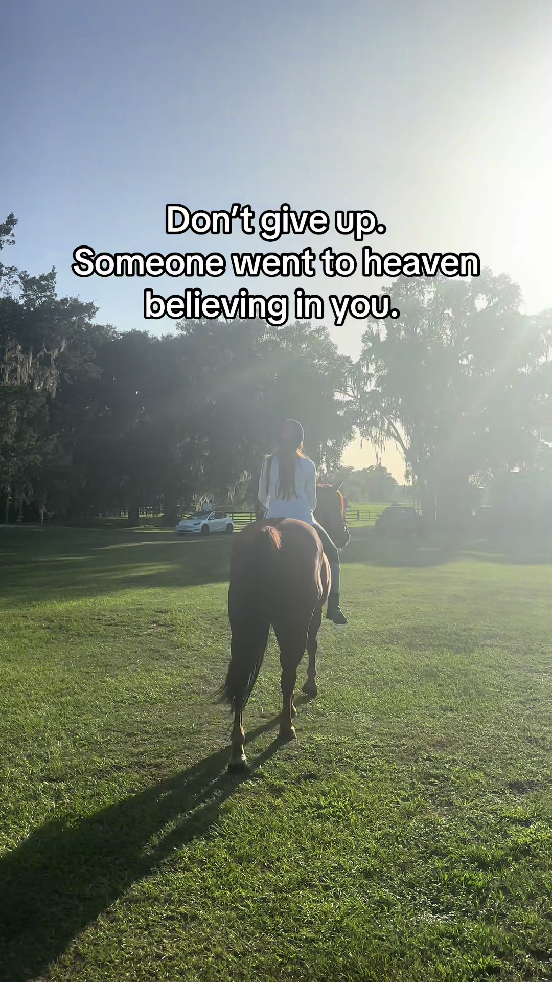 @itiswellstables