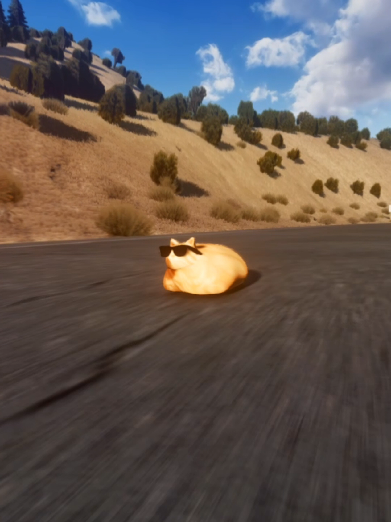 @Pablo the Race Cat