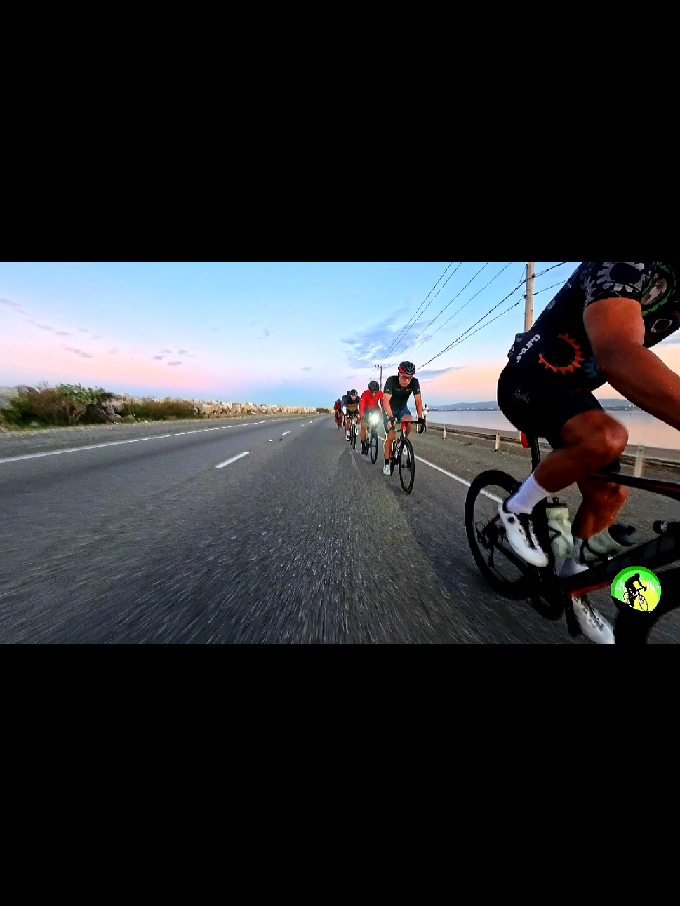 @pedalpulse