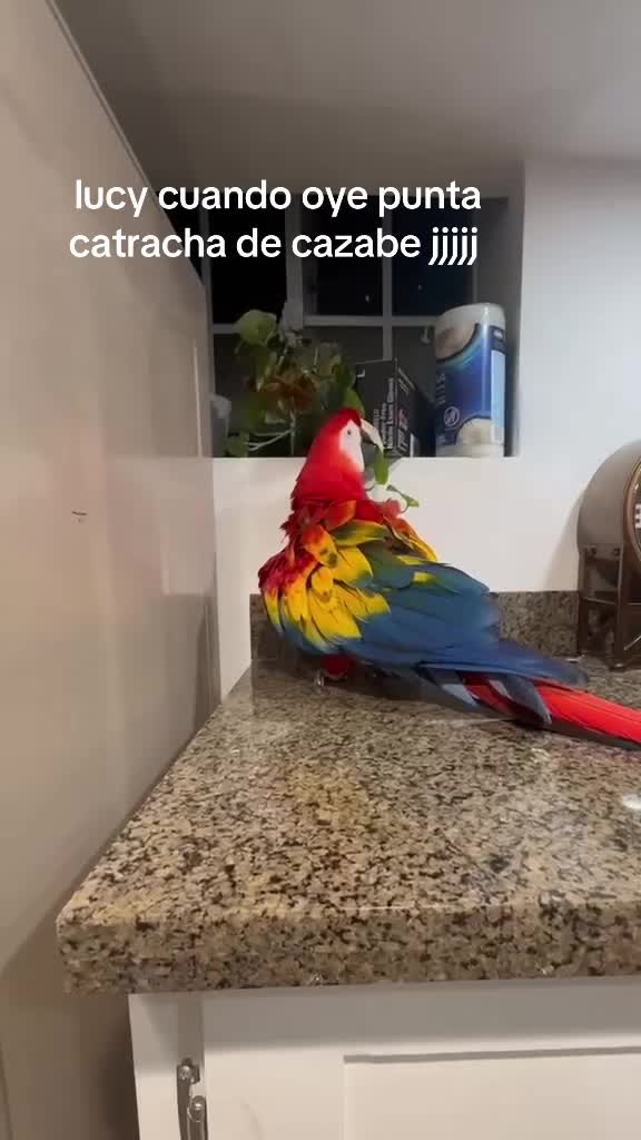 @Margarita Valdez