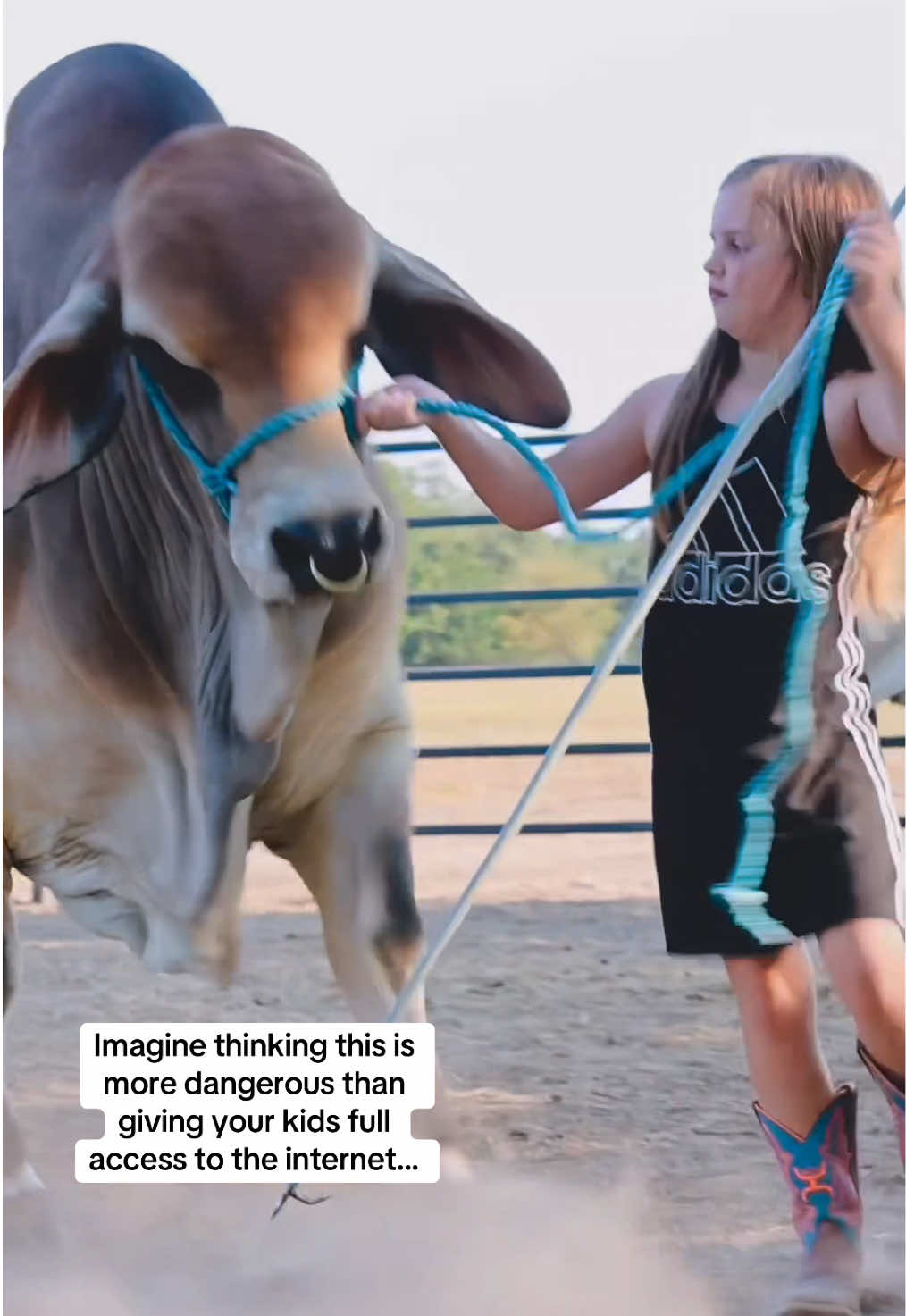 @The V6 Ranch