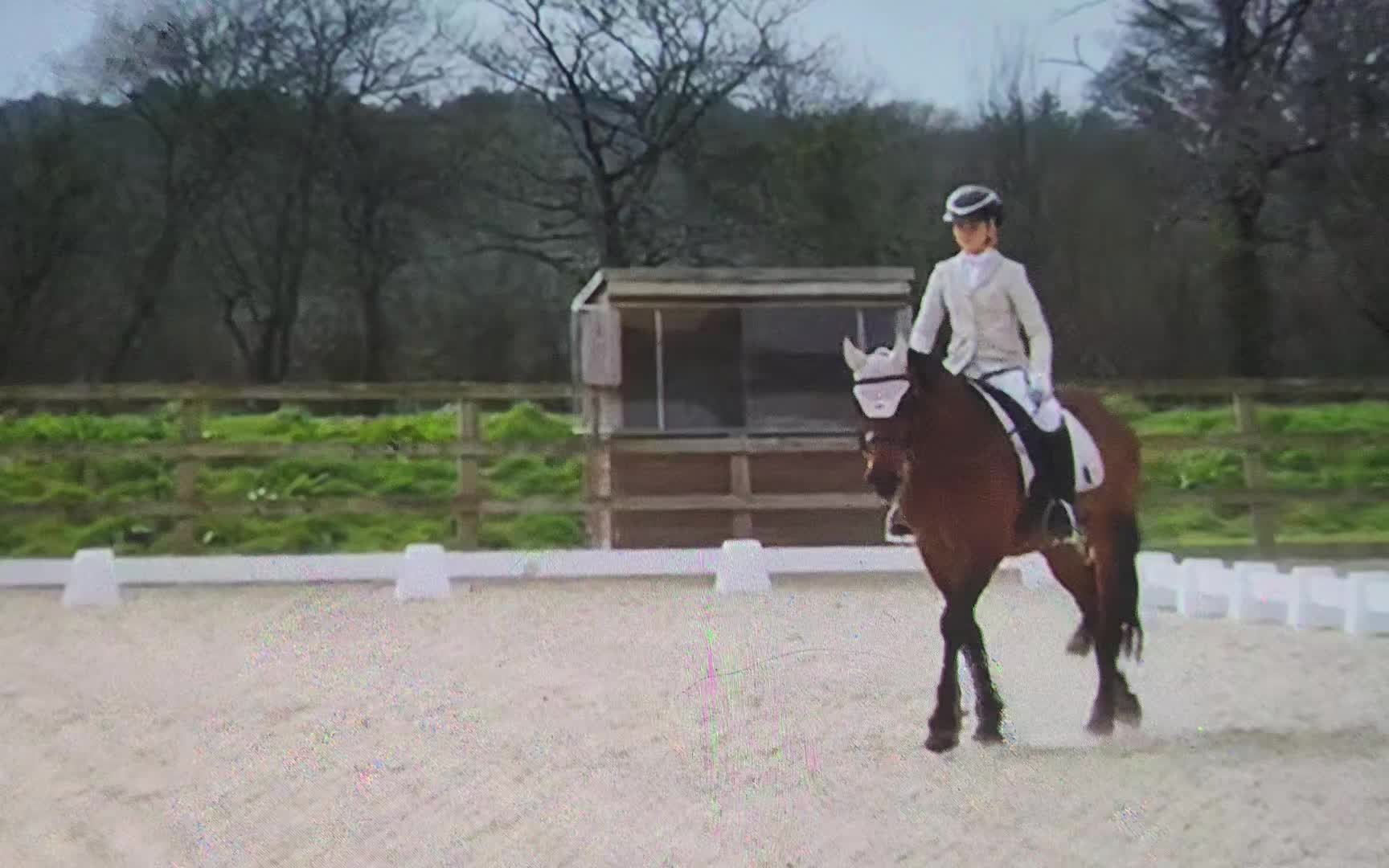 @🐴♦️Harlow&Ruby♦️🐴