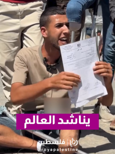 @Royapalestine رؤيا فلسطين