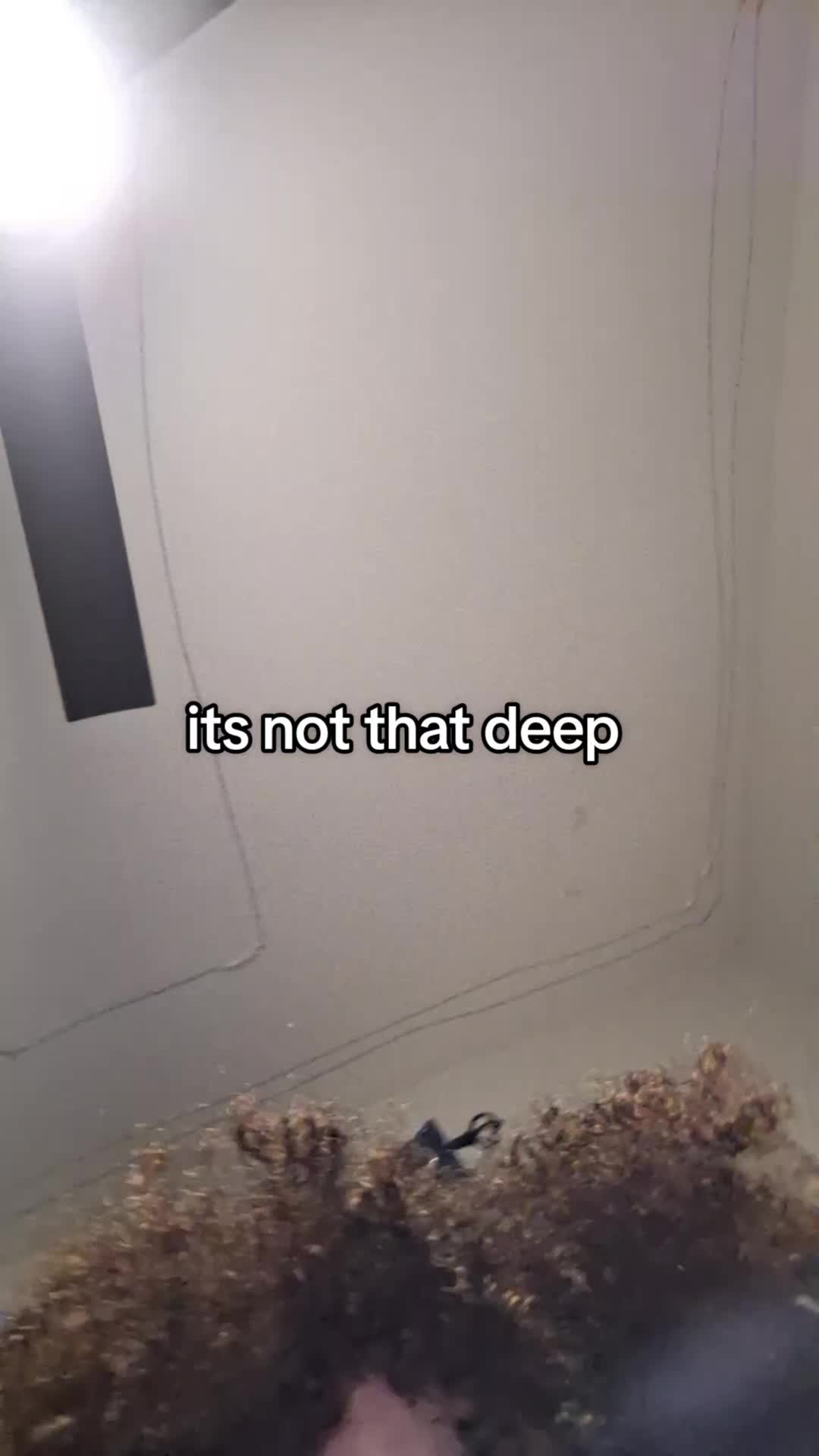 @Hopes&Dreams