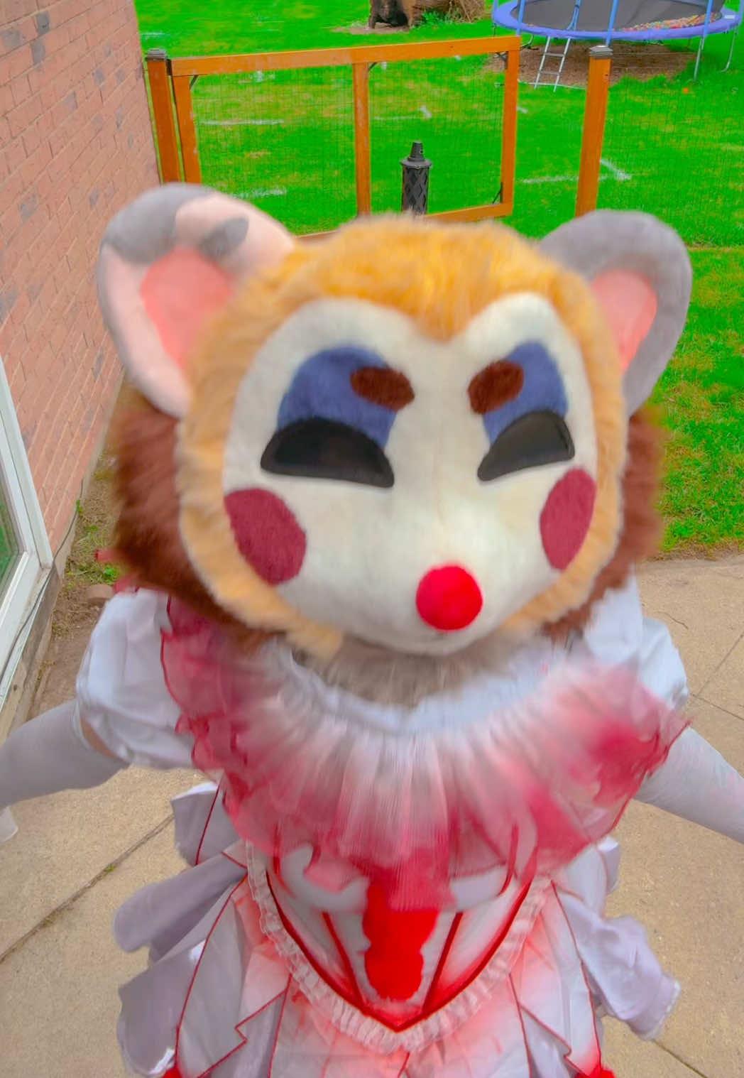 @🎀🦊Foxii🦊🎀