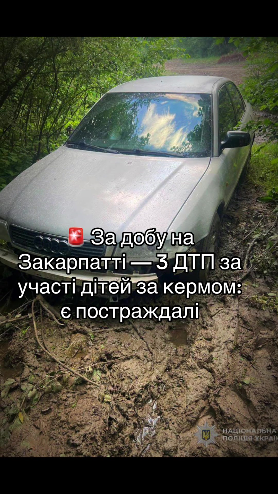 @🐻 Закарпаття Пойме | Новини