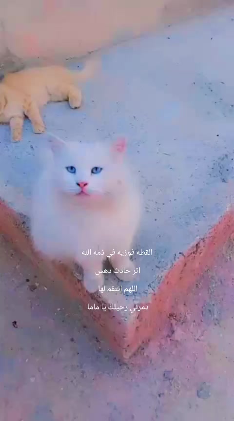 @رنا الروح
