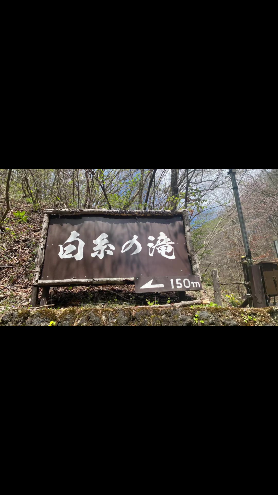 @yuanxin1010
