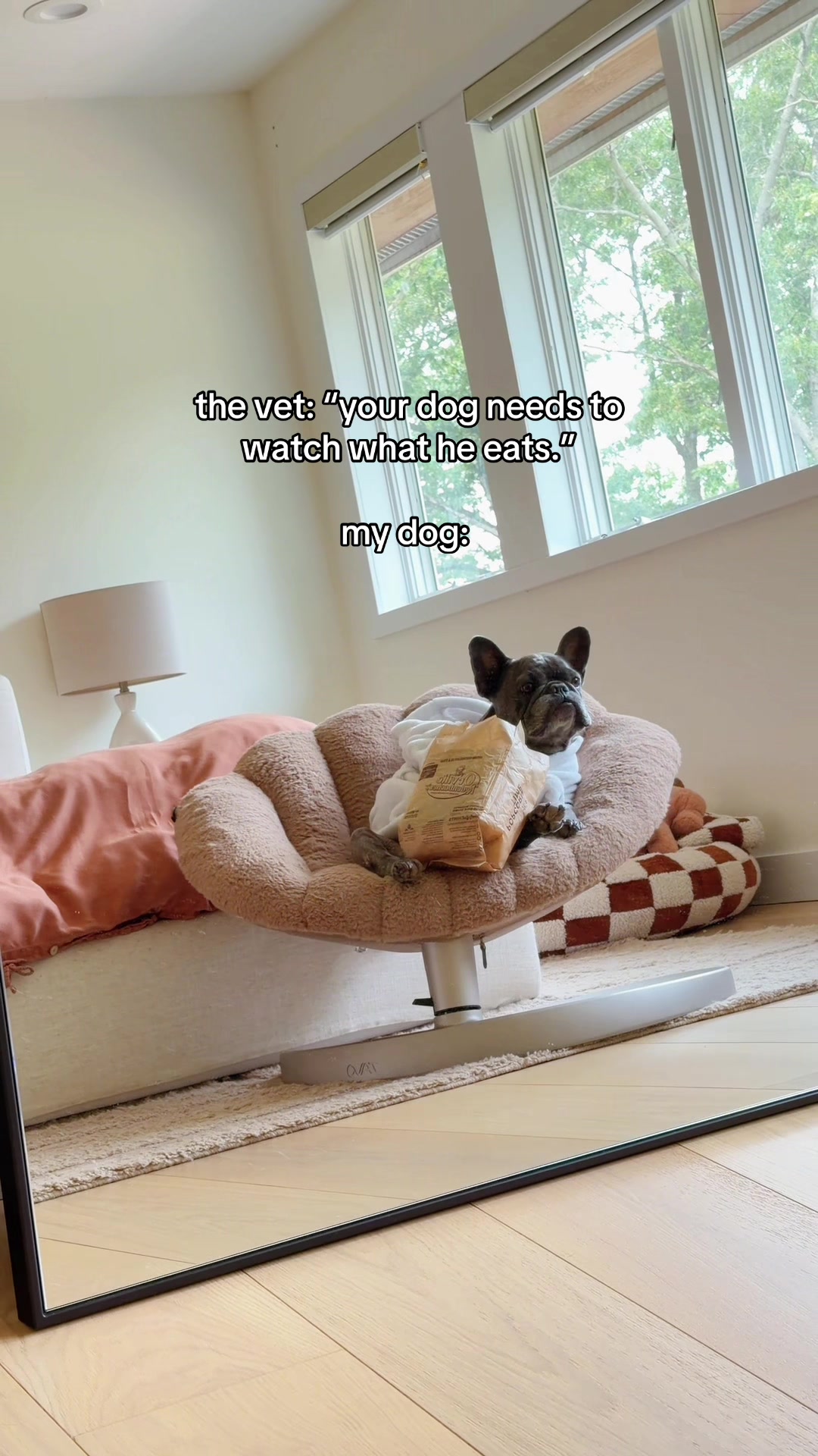 @Winston & Charlie 🐾