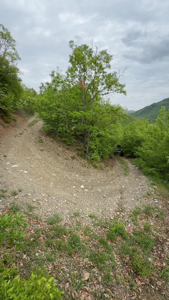 @Gonza Sober off Road