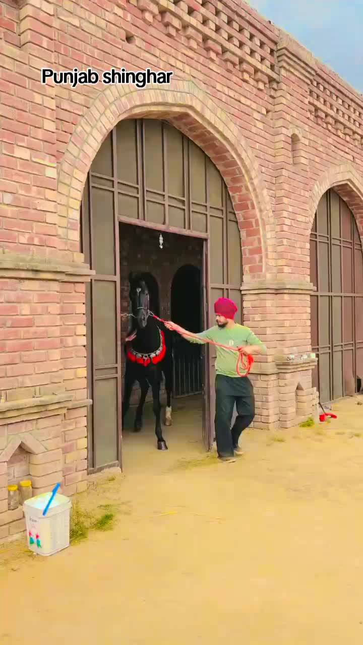 @🏇 MARWARI HORSE RACING 🏇