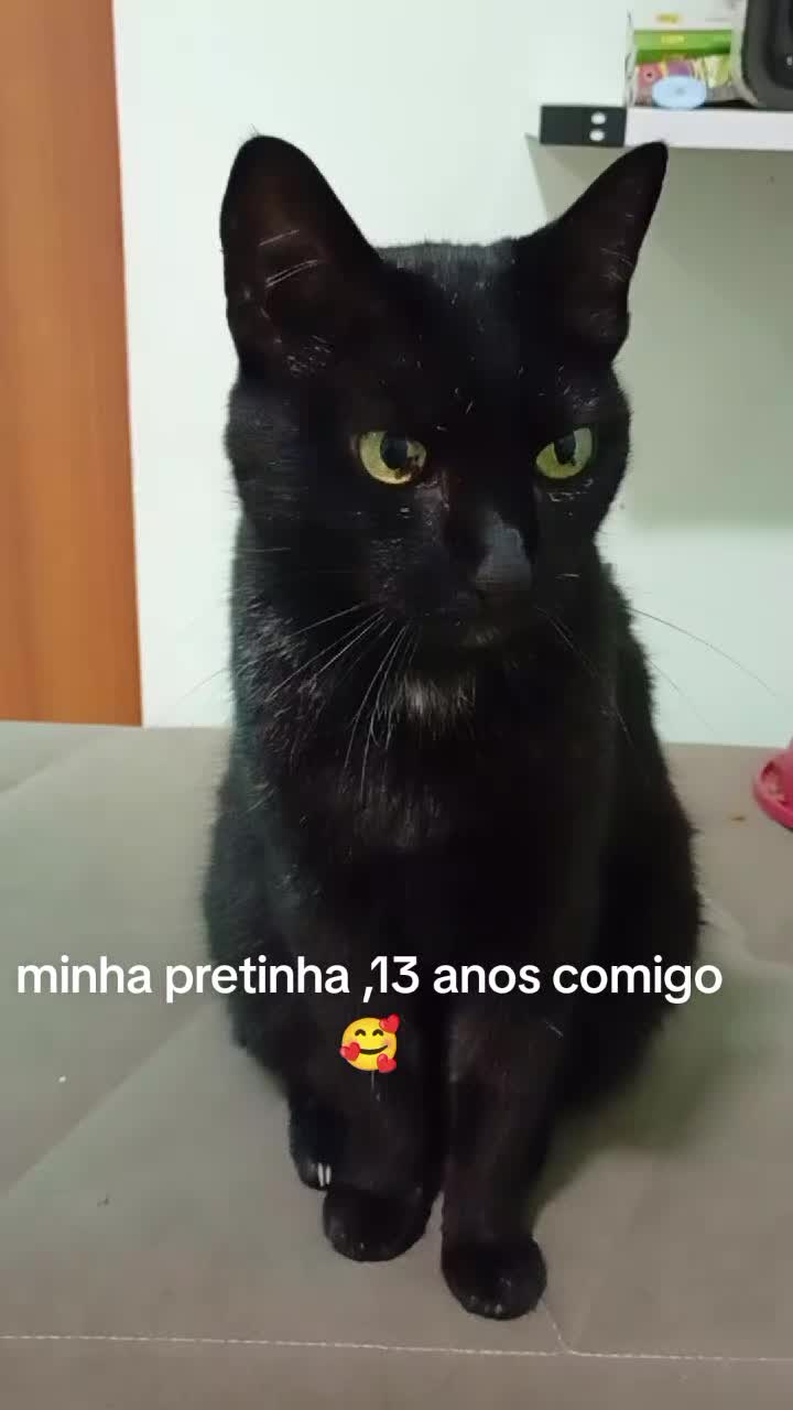 @Iara Brito Brito