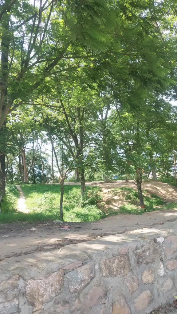 @Sabita Adhikari