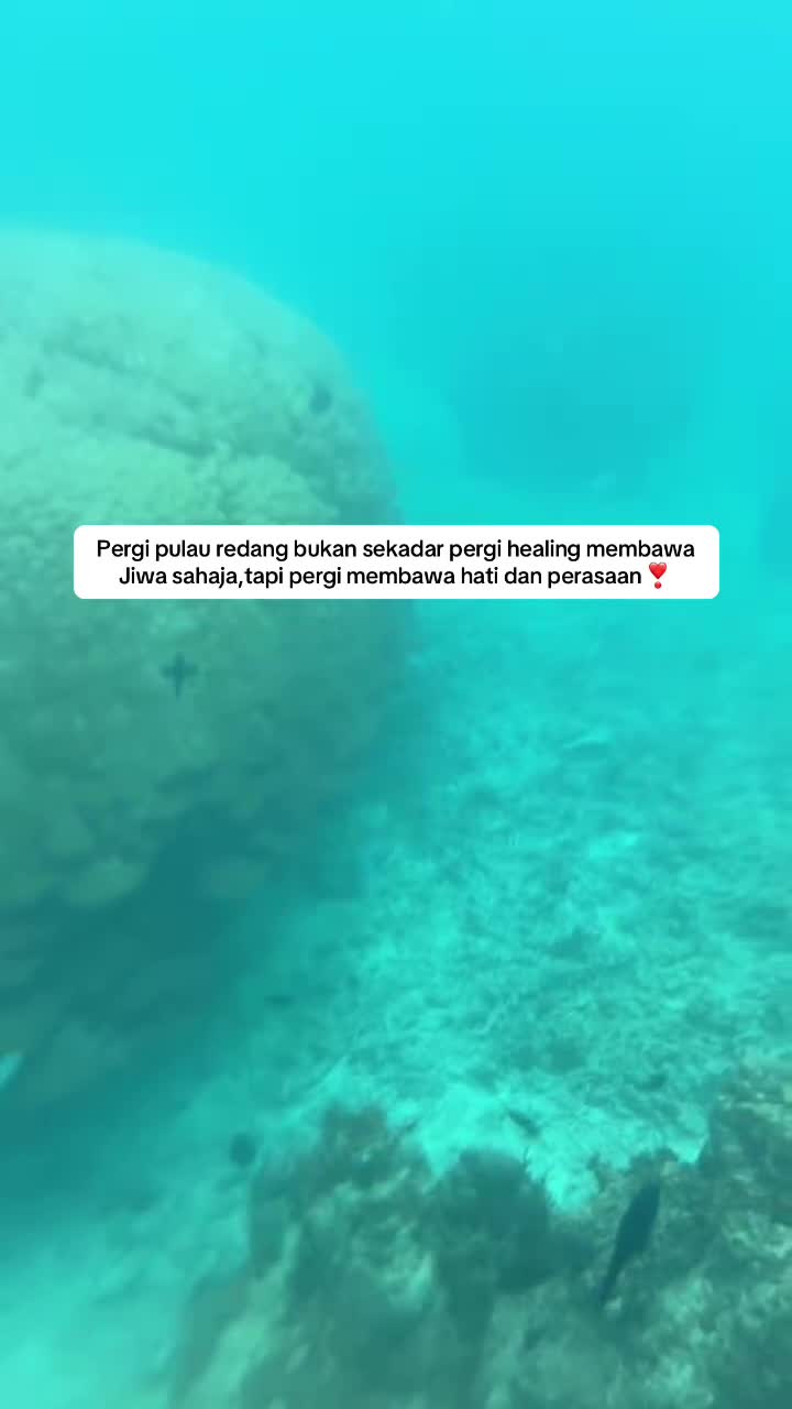 @ARamanirajihah