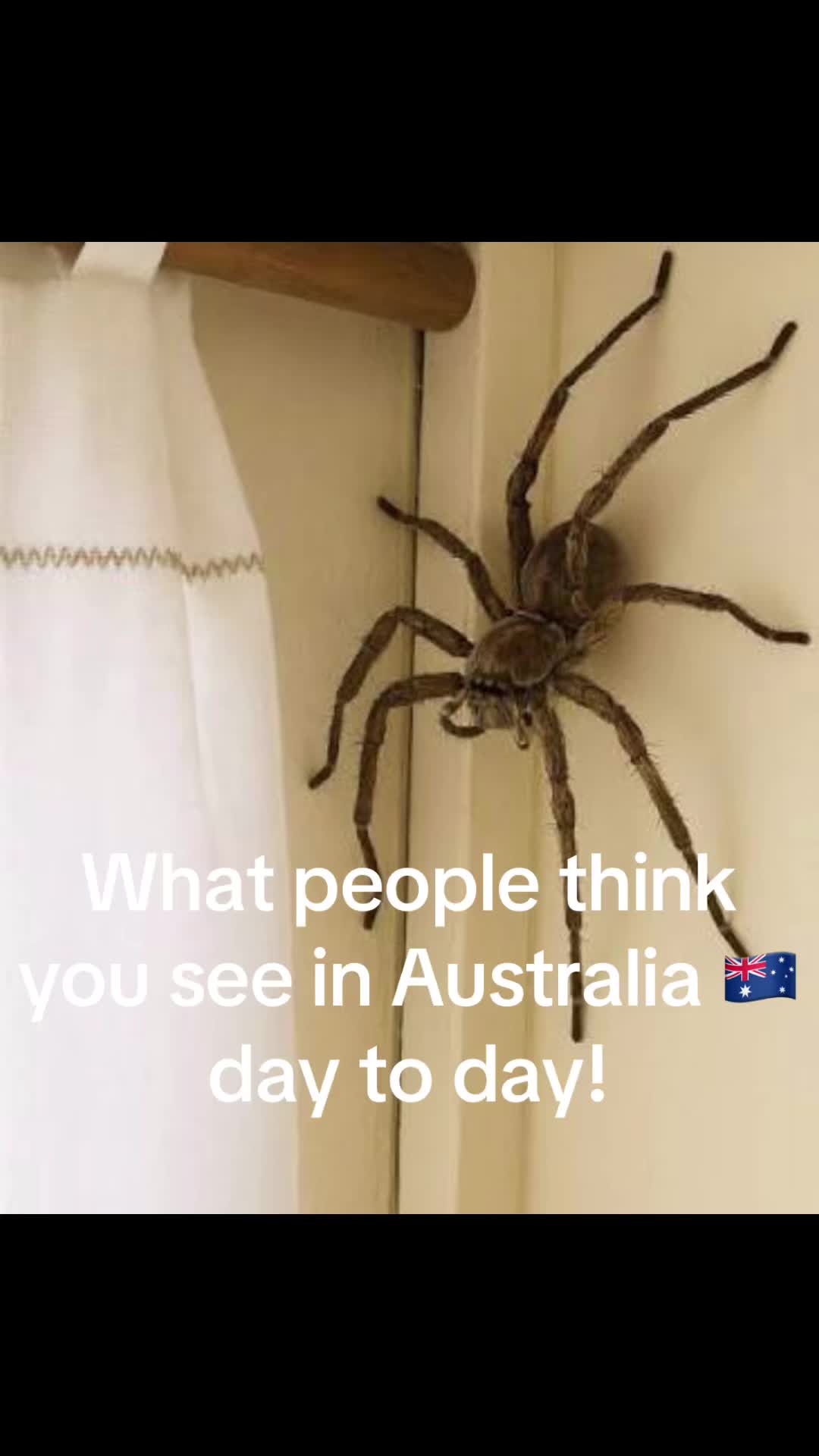 @smithsinbrisbane ๐ฆ๐บ
