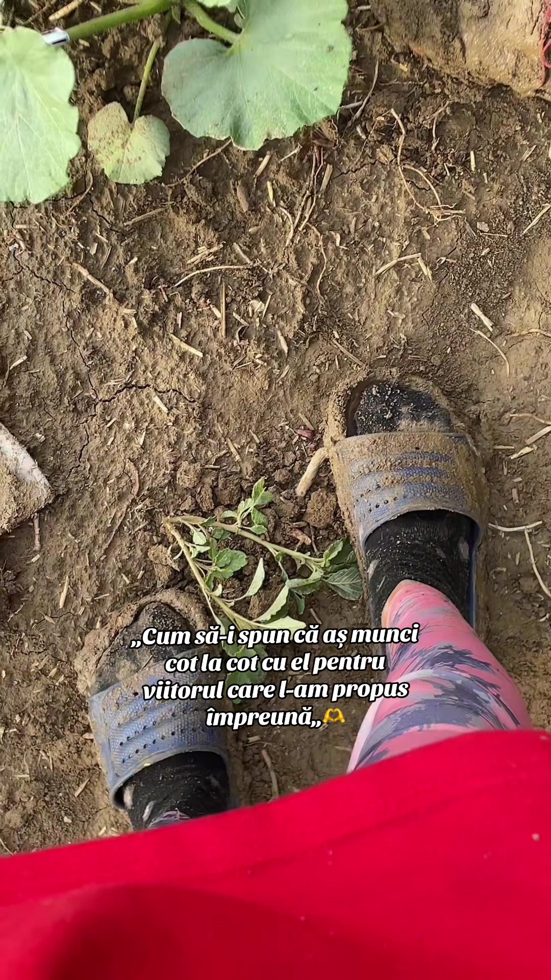 @𝓓𝓮𝓷𝔂🎀