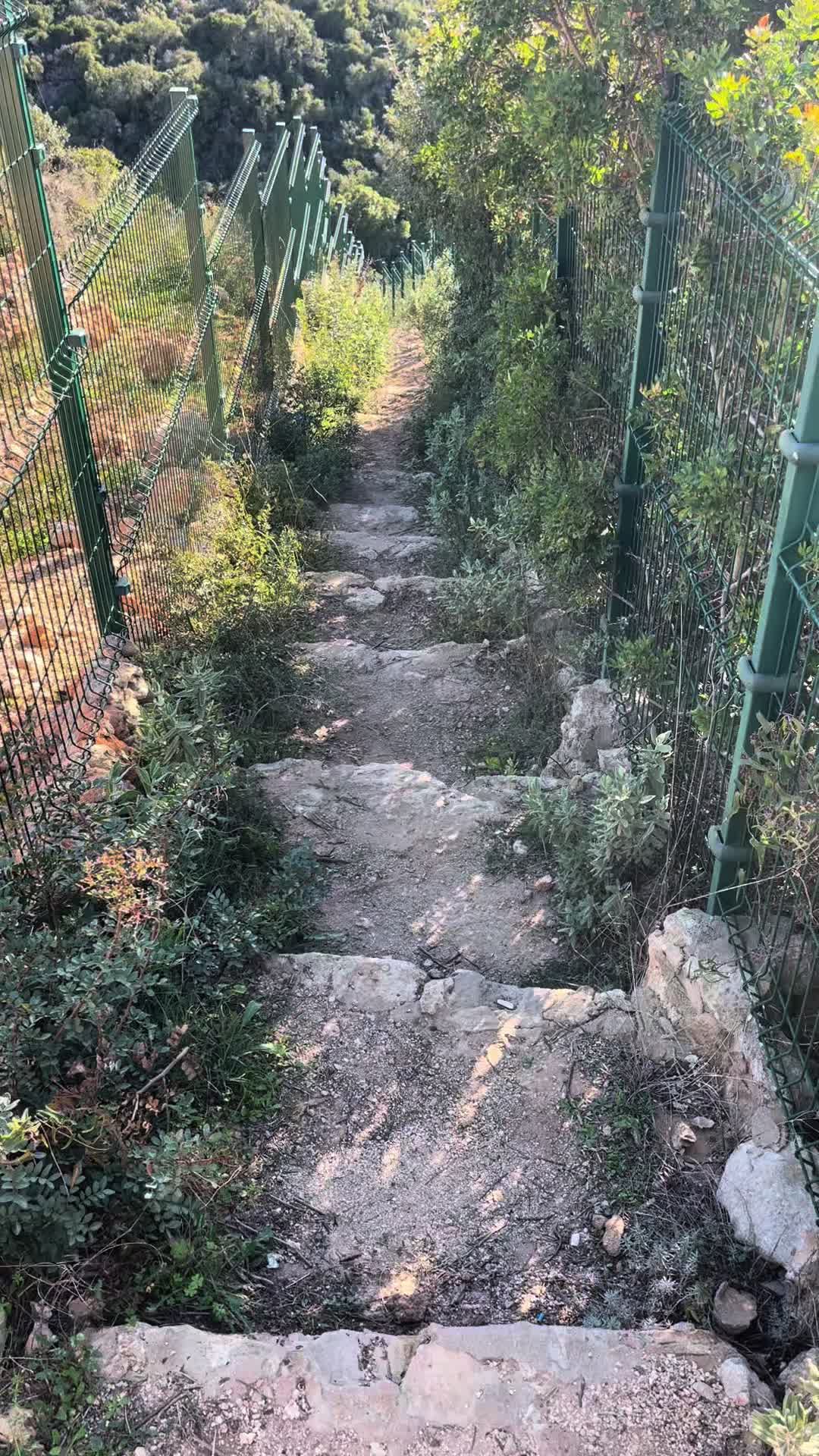 @RUSTEM