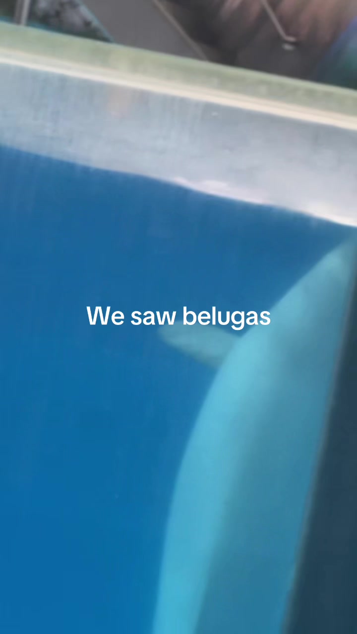 @RayJ