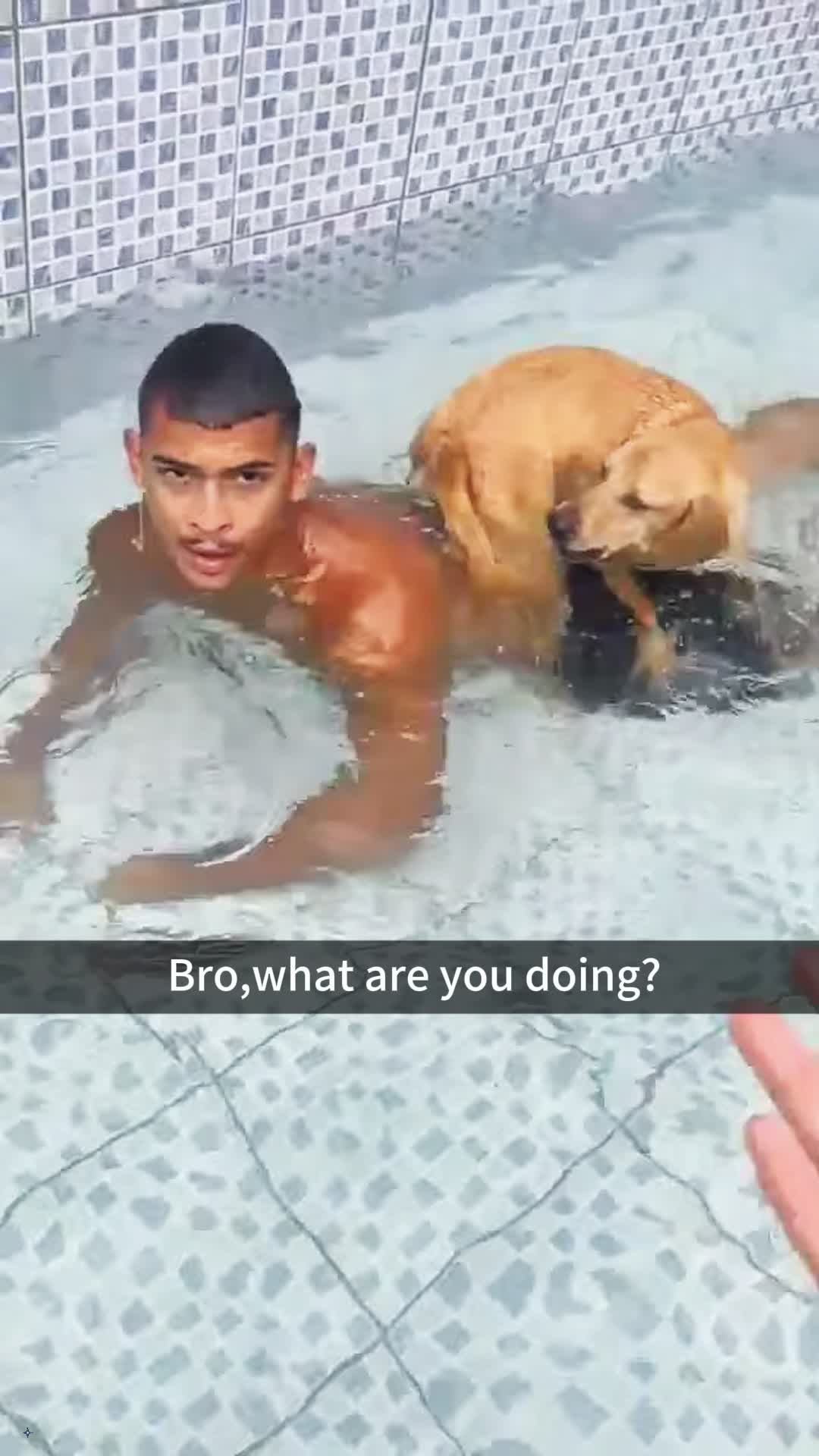 @pet_fnnytimes666