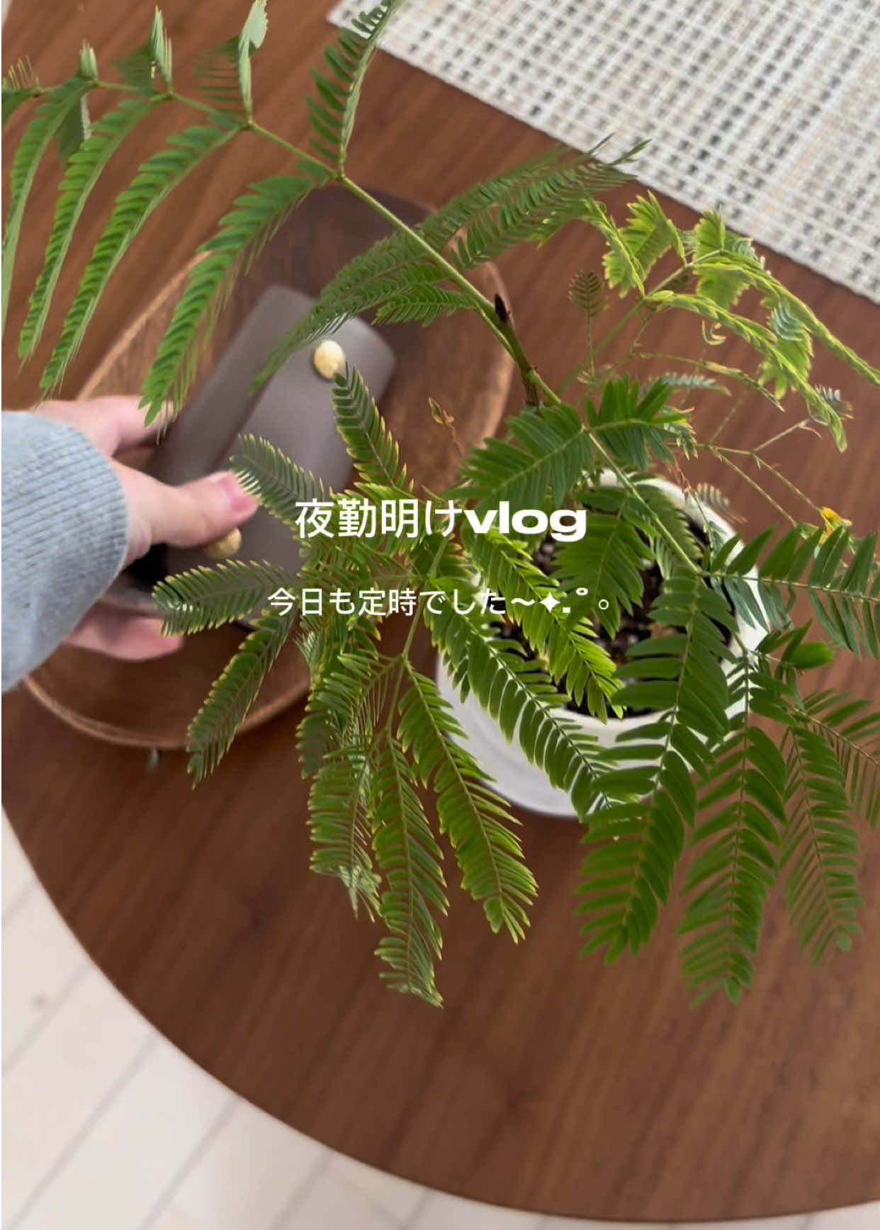 @な の
