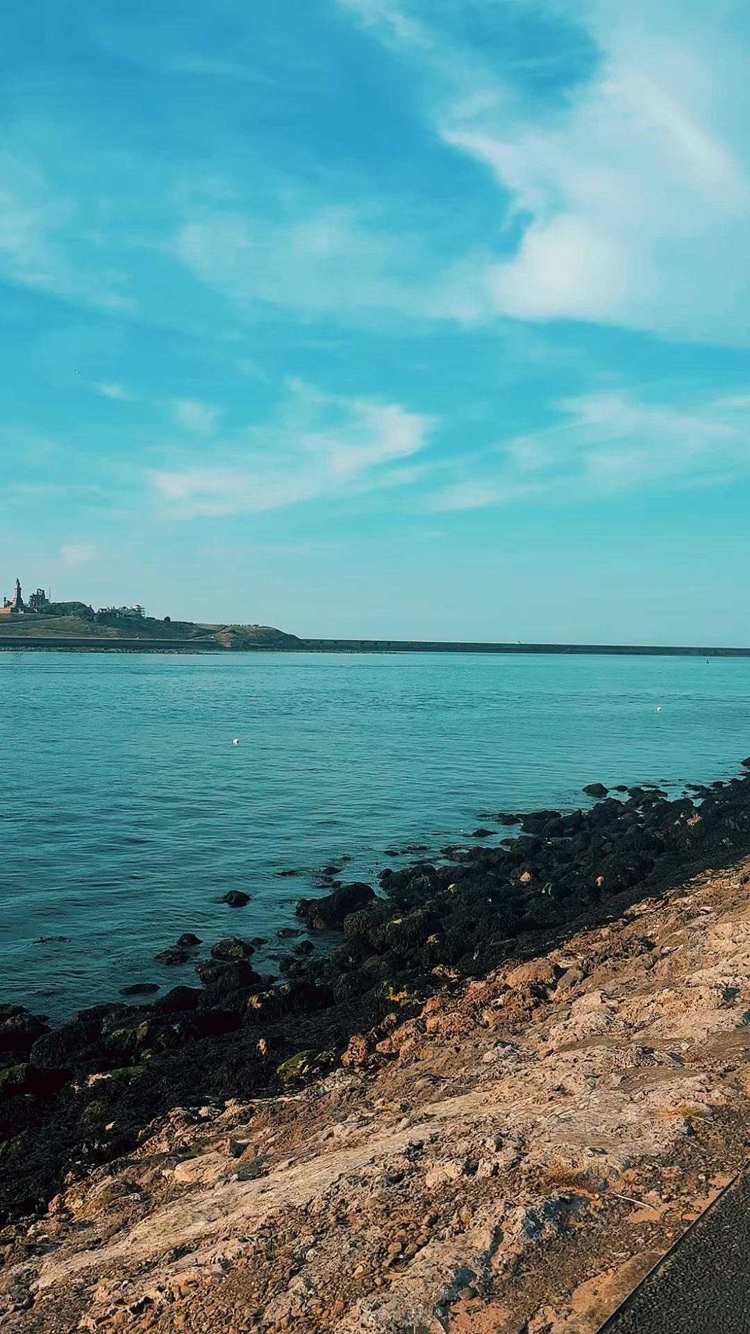 @tynetotarn