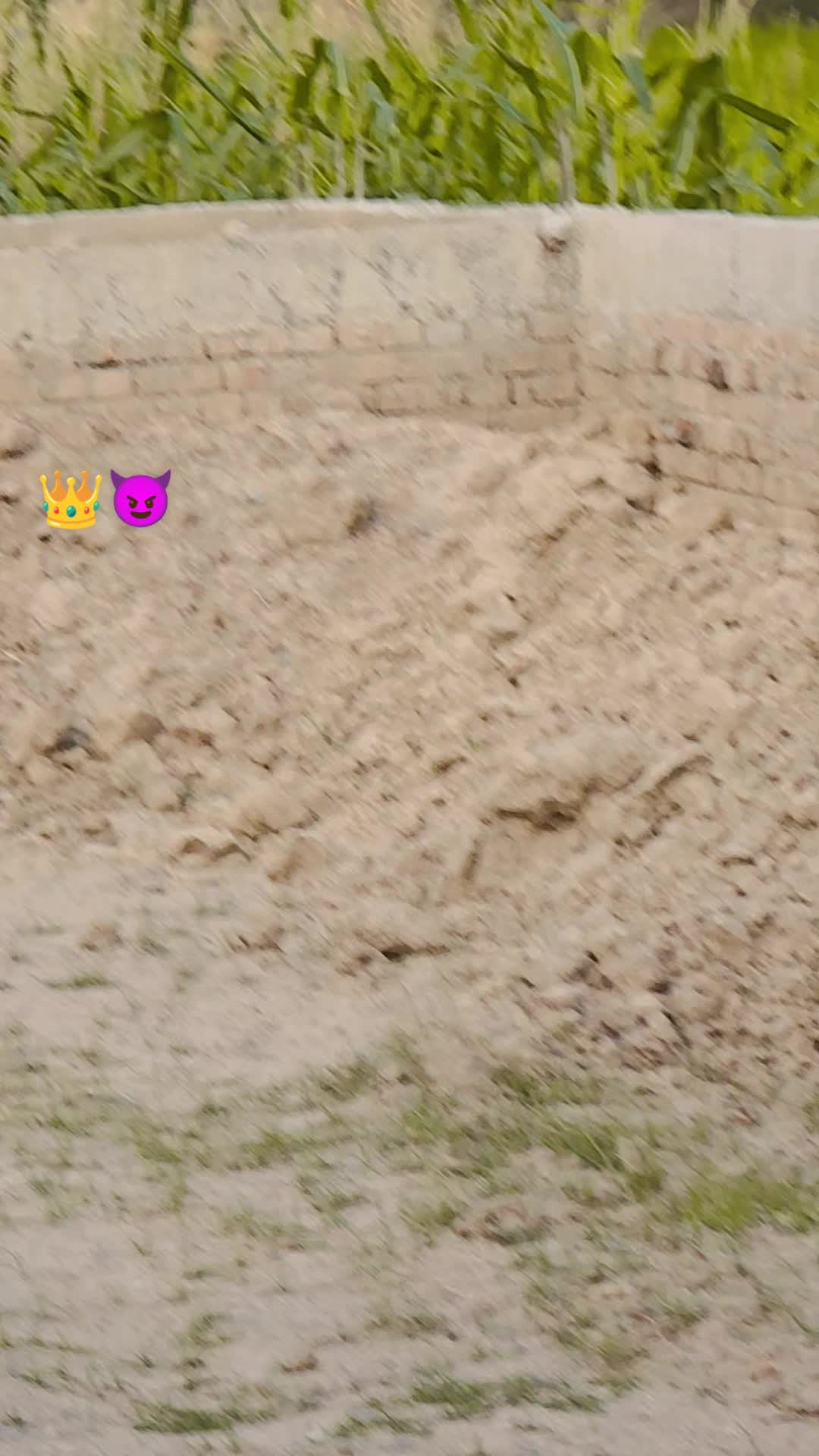 @سیدحیل🥷1
