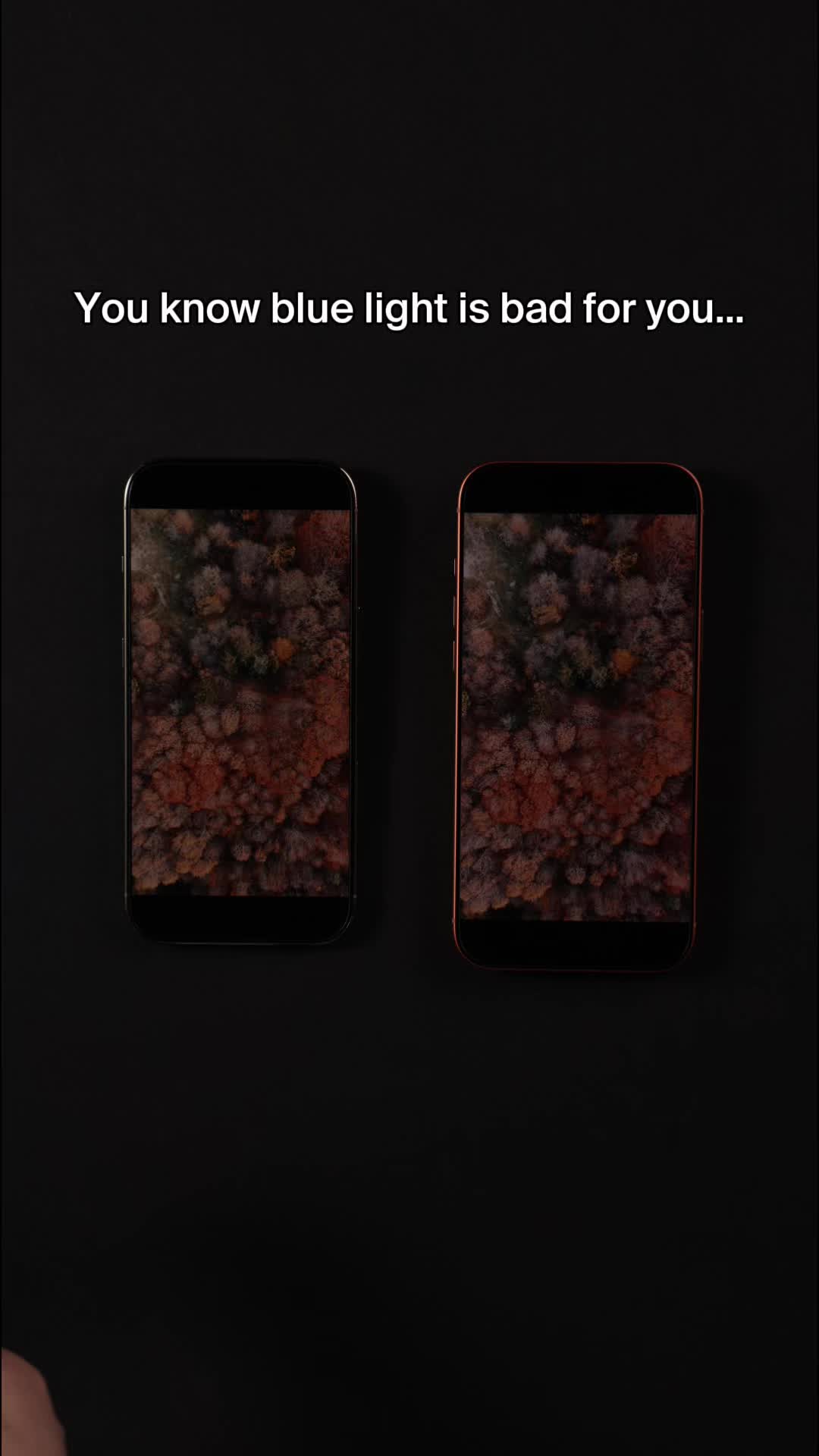 @Belkin